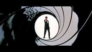 Goldeneye Gunbarrel HD [upl. by Anaehs80]