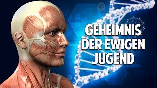 Die Wahrheit übers jung bleiben  Wissenschaftlich belegte Tipps für ewige Jugend und Gesundheit [upl. by Anauqaj]