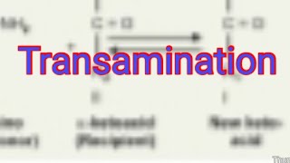 Transamination Biochemistry [upl. by Doris]