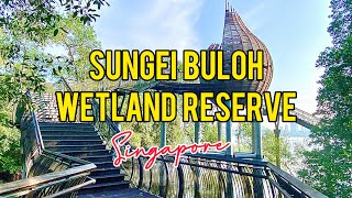 SUNGEI BULOH WETLAND RESERVE Singapore [upl. by Nuahs]