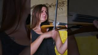 In the hands of a beautiful violinist  the violin solemnly played Subscribe Shorts [upl. by Henryetta]