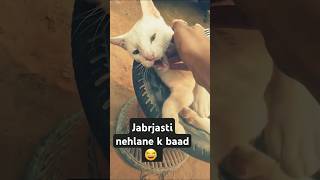 Sardi me jabrjasti nehla diya 😂 funny shots  trending [upl. by Gneh]