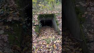 Bunkeri iz II svjetskog rata u Maksimiru 😀🌳🪵💣 bunker maksimir [upl. by Asilav]