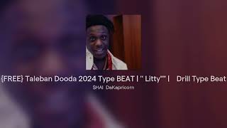 FREE Taleban Dooda 2024 Type BEAT   Littyquotquot  Drill Type Beat [upl. by Barnabas]