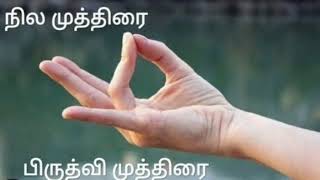 நில முத்திரை  பிருத்வி முத்திரை  பலன்கள் [upl. by Ofella]