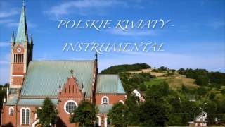 Polskie Kwiaty Instrumental [upl. by Ariana]