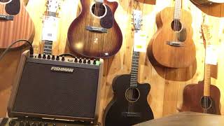 Fishman Loudbox Mini Charge  Acoustic guitar Demo [upl. by Jeramie189]