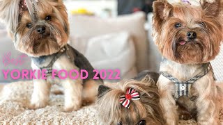 Best Yorkie Food 2022  Yorkie 101 [upl. by Ahsinna]