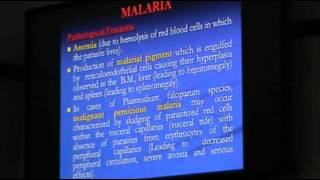 DrSahar  Parasitic Infections 3  Leishmaniasis [upl. by Ecinehs]