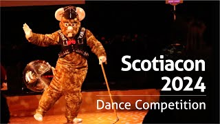 Charleston Rat at Scotiacon 2024 Dance Competition [upl. by Ambrosi]