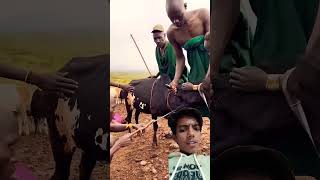 Mursi tribe africa shorts ethiopia omovalley omoadvisor omoriver short shortvideo [upl. by Melise119]