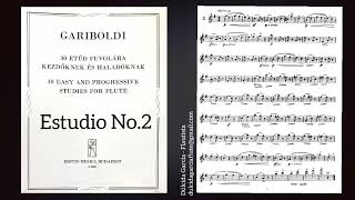 Gariboldi No2  30 Easy and progressive studies for flute [upl. by Adnale]