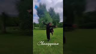 Chinese Wushu Kung Fu Taichi Sword [upl. by Sinnaoi]