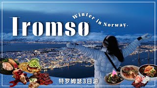 🇳🇴 3 DAYS in TROMSØ  Norway Vlog northern lights dog sledding amp eats  特罗姆瑟三日游 [upl. by Rafaelof]