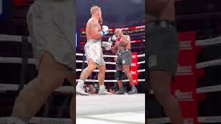 JAKE PAUL VS MIKE TYSON VS  BOXE A NEW YORK [upl. by Anaeerb]