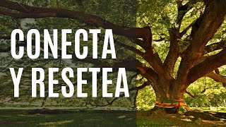 RESETEA tu CUERPO y MENTE con esta PRÁCTICA que REDUCE el ESTRÉS y APORTA BIENESTAR [upl. by Frayne384]