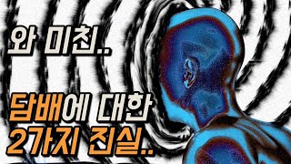 절대 알고 싶지 않은 흡연의 진실을 폭로합니다 88세 할아버지는 왜 평생 담배를 끊지 못했을까 [upl. by Fawcett]