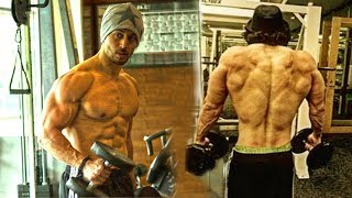 Tiger Shroffs Gym Workout Video  Do Bollywood Actors Take Steroids [upl. by Jamil]