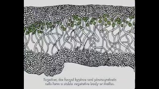 Lichen Biology [upl. by Proffitt]