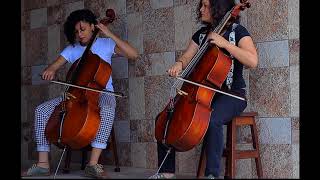 Smells Like Teen Spirit Nirvana Duo Cello [upl. by Tabbitha]