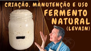 Como fazer o FERMENTO NATURAL  LEVAIN  Receita simples Sem complicação [upl. by Lynne]