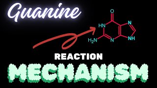 GuanineReaction Mechanism [upl. by Ellord]