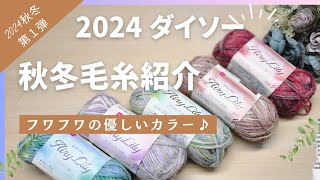 【2024年秋冬毛糸紹介①】ダイソーから出た！もう秋冬糸？！かぎ針編み棒針編み [upl. by Fenelia]