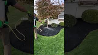 mulch glue mulching lawn flowerbed flowers diy [upl. by Enilhtak]