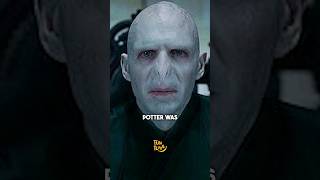 Facts about Voldemort You Didnt Know [upl. by Eirahcaz888]