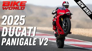 New Ducati Panigale V2  Eicma First Look [upl. by Yleoj]