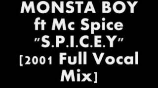 UK GARAGE SPICEY [upl. by Attela869]