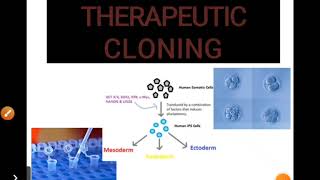 Therapeutic cloning  Animal Biotechnology [upl. by Tnomed181]