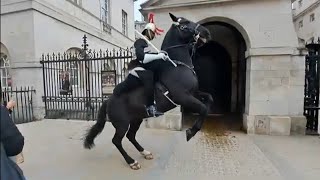 Horse goes crazy tourist gets shouted at horseguardsparade [upl. by Nanreik318]