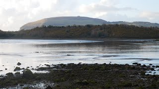 Ballisodare Bay Co Sligo 527pm 3March2024 [upl. by Kosaka]