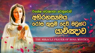 අභිරහස්‍යමය රෝස කුසුම් මෑණියන්ට යාච්ඤාව  THE MIRACLE PRAYER OF ROSA MYSTICA [upl. by Hernardo]