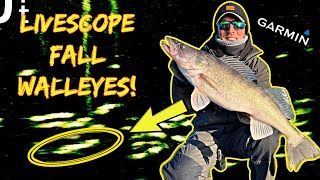 I Caught My HEAVIEST KANSAS WALLEYE on LIVESCOPE Late Fall Walleye Fishing [upl. by Anirtik]