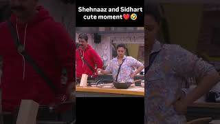 sidnaaz sidharthshukla sehnaazgill biggboss13 viralvideo shorts public [upl. by Nivk]