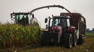 Kukurydziana Zadyma ㋡ Kiszonka 2024  Massey amp Fendt Lecą Oporowo [upl. by Welcher]