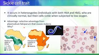 Lec03 Hemoglobinopathies 2021 [upl. by Atinuaj]