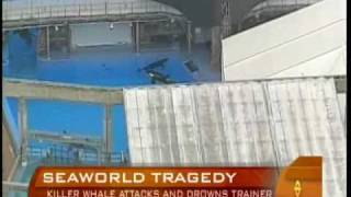 Killer Whale Grabs Drowns Trainer [upl. by Yerkovich730]