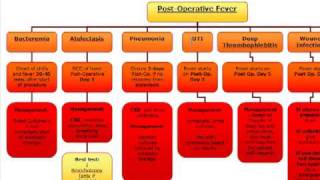 Surgery Algorithm PostOperative fever [upl. by Gustav953]