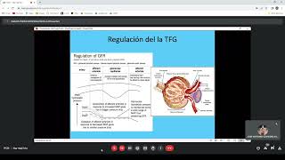 FISIOPATOLOGIA DE LA INSUFICIENCIA RENAL [upl. by Forras445]