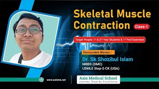 Skeletal Muscle Contraction  Muscle Physiology বাংলা [upl. by Aillil]