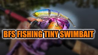 Fishing Tiny BFS Swimbait Shimano Bantam BT Bait 99SS [upl. by Pirnot]