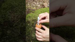 WOW She Сooked an 🥚EGG on EGG survival forest lifehacks bushcraft outdoors camping [upl. by Willett]