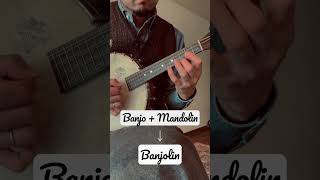 Banjolin  Banjo Mandolin  Odeon  Vega StyleK made in 1925 banjo mandolin odeon [upl. by Niatsirt]