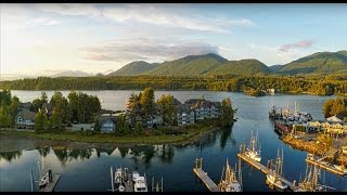 Waters Edge Shoreside Suites  Vancouver Island Accommodation [upl. by Deutsch776]