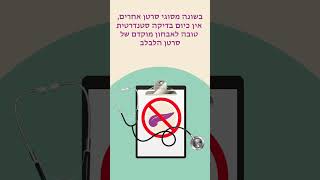 2024 WPCD Cancer Screening  Hebrew [upl. by Nonaihr]