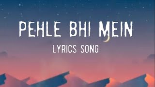 ll Pehle bhi mein lyrics song sing by Raj Shekhar and Vishal Mishra  Animal movie song 🎥 🤟✨ [upl. by Nivram]