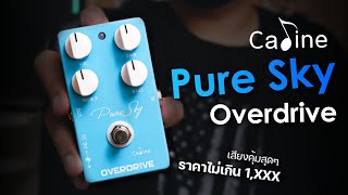 Caline  CP12 Pure Sky Overdrive  เสียงแตก Overdrive ที่ใช้กันทั่วโลก ราคา 880 บาท [upl. by Eirac]